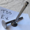 TSS ex valve